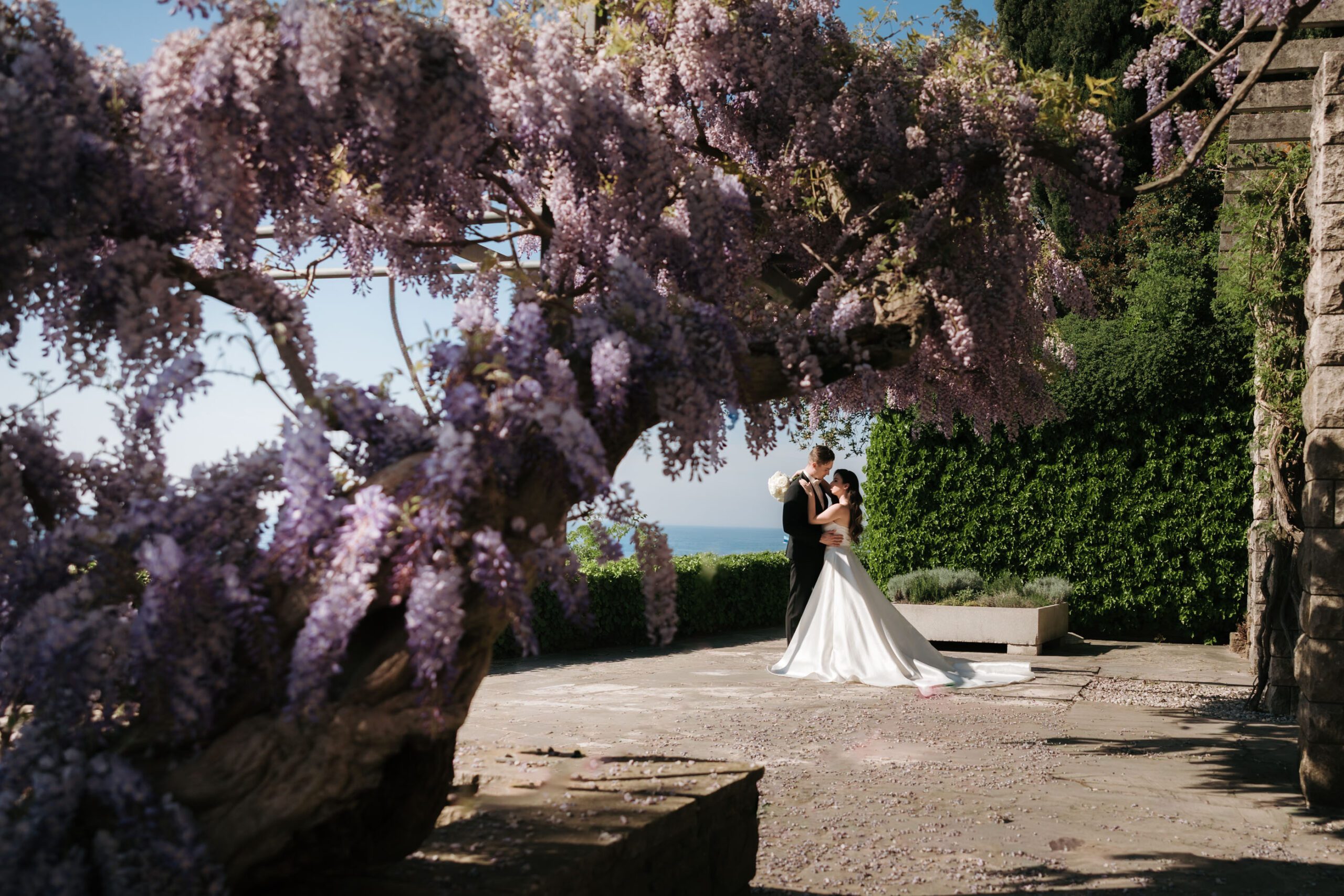Wisteria garden at Villa Tartini on the Adriatic coast, romantic wedding venue near Piran Slovenia with blooming purple flowers