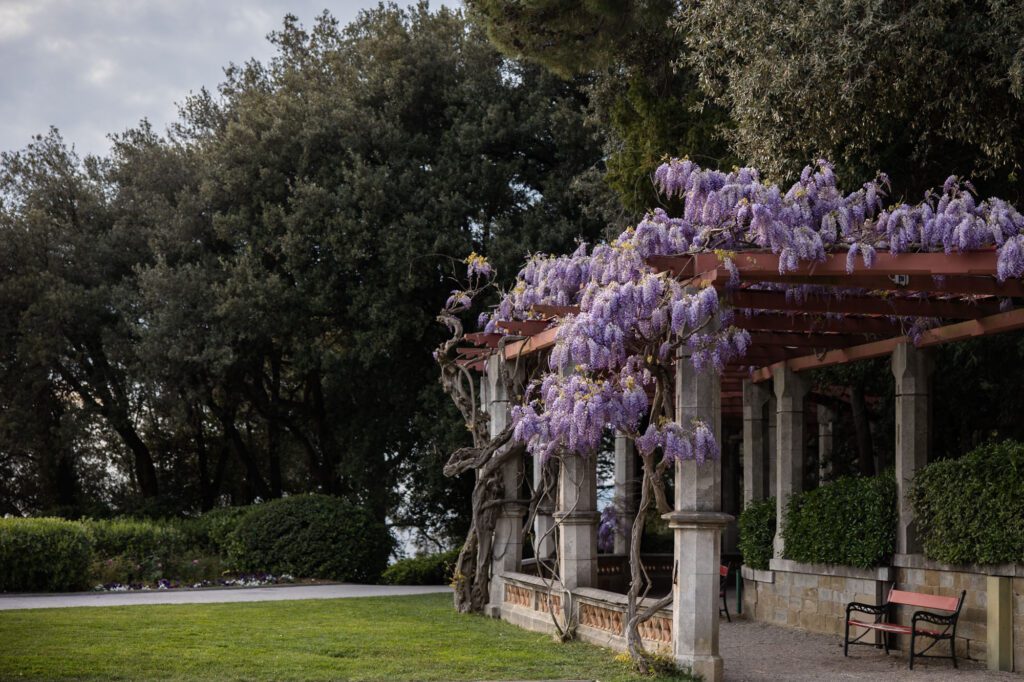 Wisteria-covered pergola at a wedding venue in Trieste, Italy, creating a romantic garden setting for destination weddings