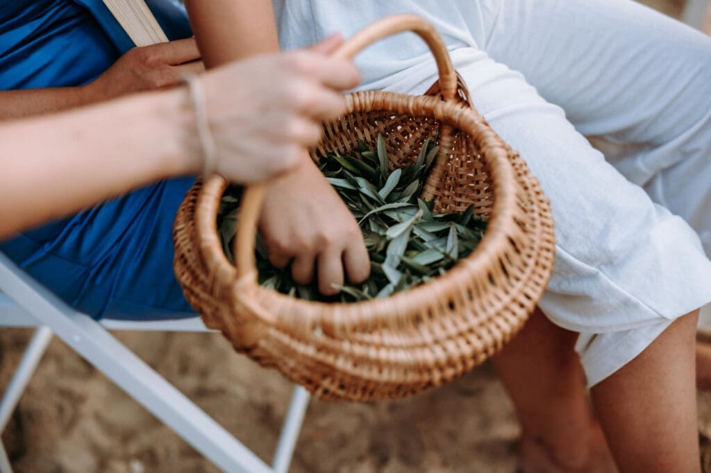 Wedding guests holding olive leaves in a woven basket during an intimate beach wedding ceremony on Levan Island in Croatia.