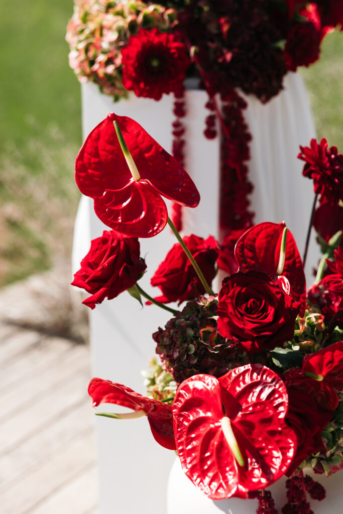 Close-up of red roses and anthuriums in the wedding altar floral arrangements at Winery Škerlj.
